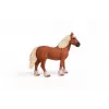 schleich FARM WORLD Belgisches Kaltblut, 3 años, animales de granja / juguete de granja, caballos, marrón, plástico