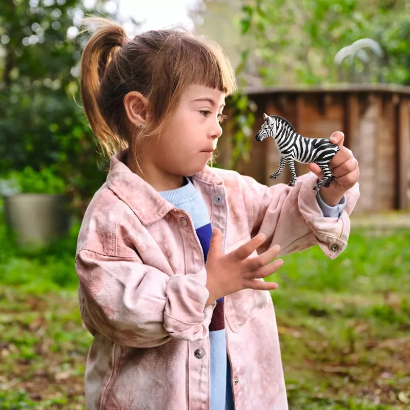 schleich WILD LIFE Cebra hembra, 3 años, safari, animales salvajes / juguete de aventuras, multicolor, plástico, 1 unidad
