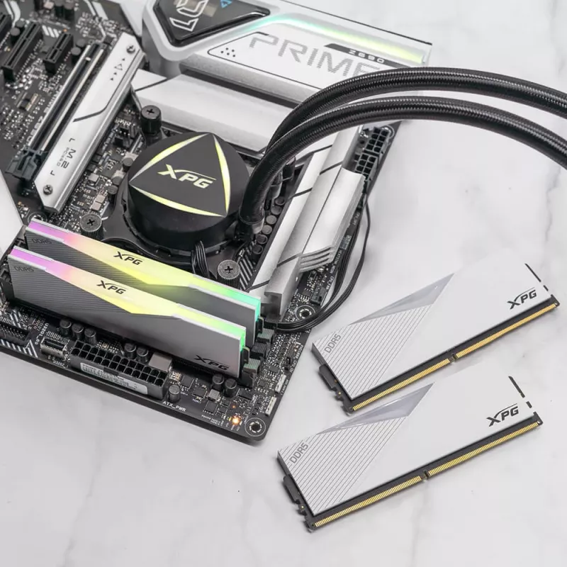 DIMM 64 GB DDR5-6400 (2x 32 GB) Dual-Kit, memoria RAM blanca, AX5U6400C3232G-DCLARWH, Lancer RGB, INTEL XMP