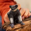 Figura Schleich WILD LIFE Indri multicolor 14877S edad recomendada 3 años