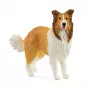 schleich FARM WORLD Collie, 3 año(s), granja, animales de granja / juguete de granja, multicolor