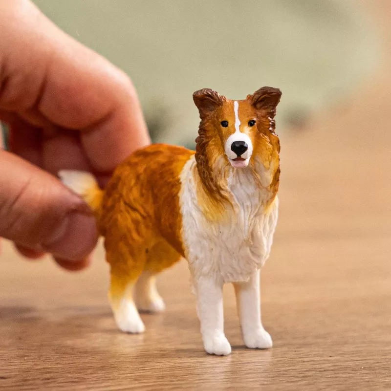 schleich FARM WORLD Collie, 3 año(s), granja, animales de granja / juguete de granja, multicolor