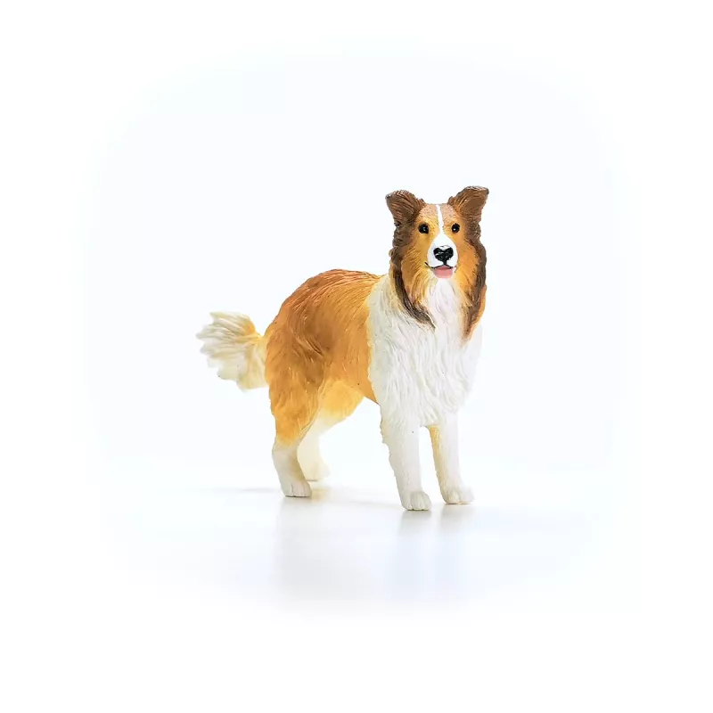 schleich FARM WORLD Collie, 3 año(s), granja, animales de granja / juguete de granja, multicolor