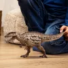 schleich dinosaurio Carcharodontosaurus, 4 año(s), conquistar la Tierra, dinosaurios y volcán, multicolor