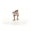 schleich dinosaurio Carcharodontosaurus, 4 año(s), conquistar la Tierra, dinosaurios y volcán, multicolor