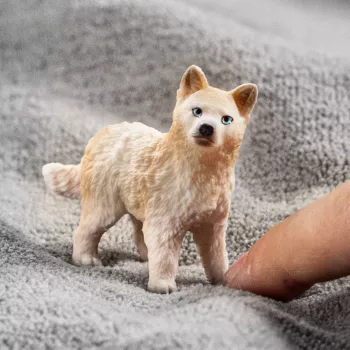 schleich WILD LIFE Cachorro de lobo polar, 3 años, hielo y océano, animales salvajes / juguete de aventuras, multicolor