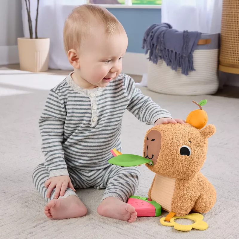 Puercoespín de juguete de agua Fisher-Price Snuggly Snacky Capy 0,5 años