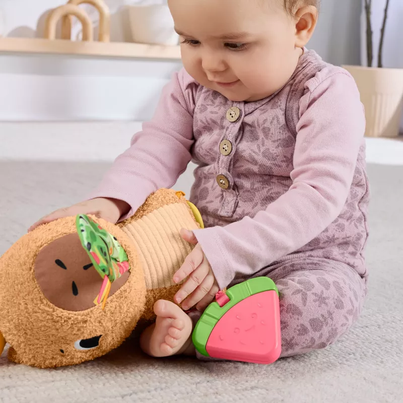 Puercoespín de juguete de agua Fisher-Price Snuggly Snacky Capy 0,5 años