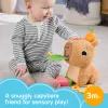 Puercoespín de juguete de agua Fisher-Price Snuggly Snacky Capy 0,5 años