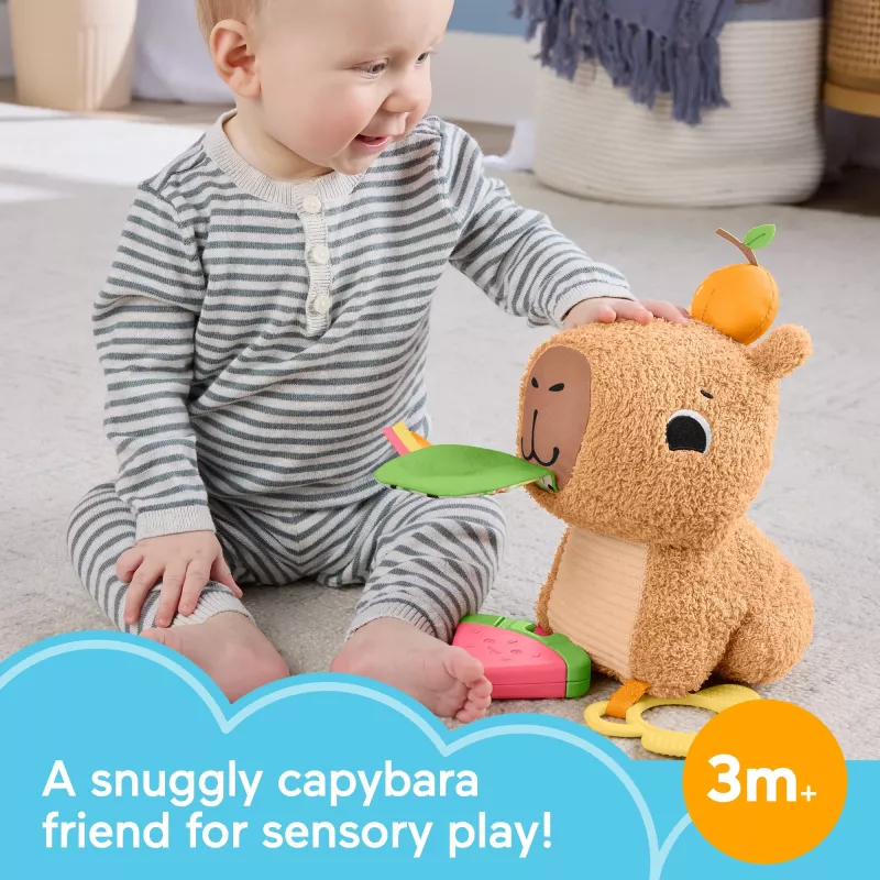 Puercoespín de juguete de agua Fisher-Price Snuggly Snacky Capy 0,5 años
