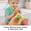 Puercoespín de juguete de agua Fisher-Price Snuggly Snacky Capy 0,5 años