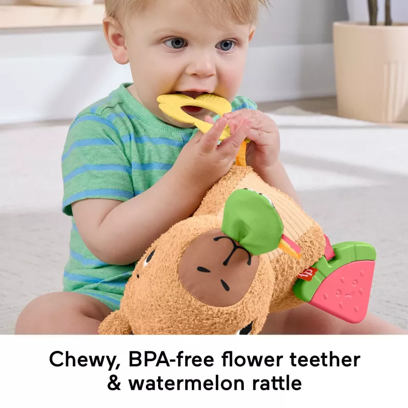 Puercoespín de juguete de agua Fisher-Price Snuggly Snacky Capy 0,5 años