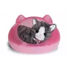 BABY born My Cat Cookie con caja, mascota de muñeca, 3 año(s), pilas necesarias