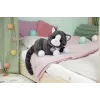 BABY born My Cat Cookie con caja, mascota de muñeca, 3 año(s), pilas necesarias