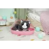 BABY born My Cat Cookie con caja, mascota de muñeca, 3 año(s), pilas necesarias