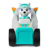 Vehículo Spinmaster PAW Patrol quitanieves de Everest – plástico, para niños a partir de 3 años, turquesa/blanco