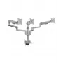 Soporte para monitor ICY BOX IB-MS525-T 30 pulgadas gris plata pinza pasacables de mesa
