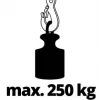 Polipasto eléctrico Einhell TC-EH 250 500 W 12 m 125 kg