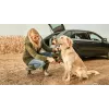 Bosch Fontus 18V hidrolimpiadora de batería de pie batería negro, verde
