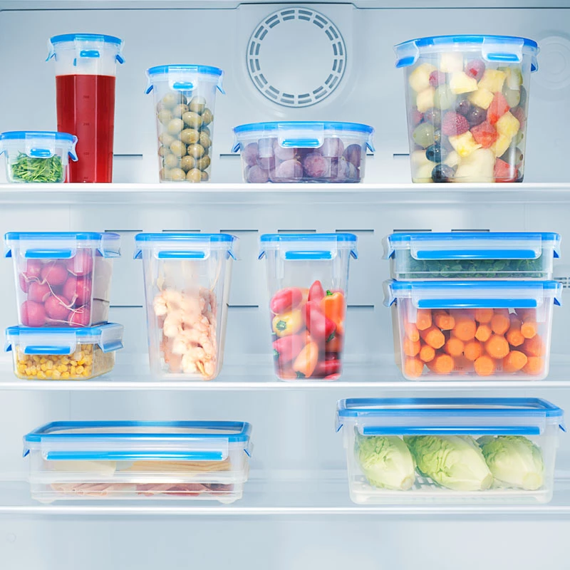 EMSA 513576 Recipiente para alimentos caja rectangular 0,6 L transparente 1 ud.