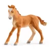 schleich HORSE CLUB Reitzentrum am See, granja, establo, caballos, 5 años, multicolor, plástico