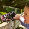 Figura Schleich ELDRADOR CREATURES Schattenlöwe 42555 pieza de coleccionista