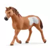 schleich Cowgirl Team Roping Fun, 3 años, multicolor