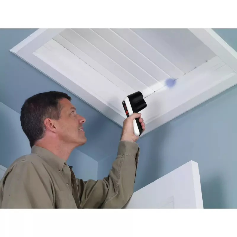 Termómetro de mano Black & Decker TLD100-XJ