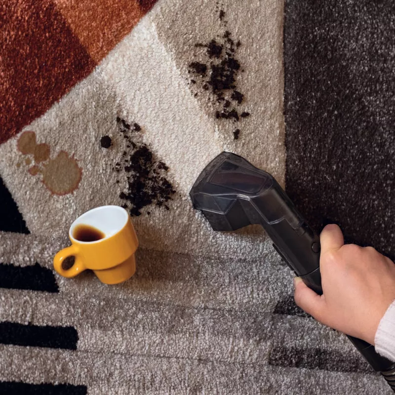 Ariete 2482 Spot Cleaner Heat Pro 750W, limpiador de alfombras y tapicerías, limpiador de alfombras y manchas, 750W, 2 depósitos, negro