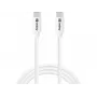 Sandberg USB-C USB-C 65W 1M SAVER, 1 m, USB C, USB C, USB 2.0, blanco
