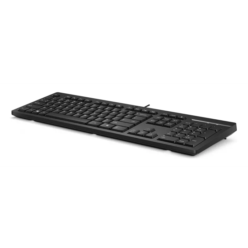 Teclado HP 125 USB WD KBD Bulk 12 Full-size con cable QWERTY