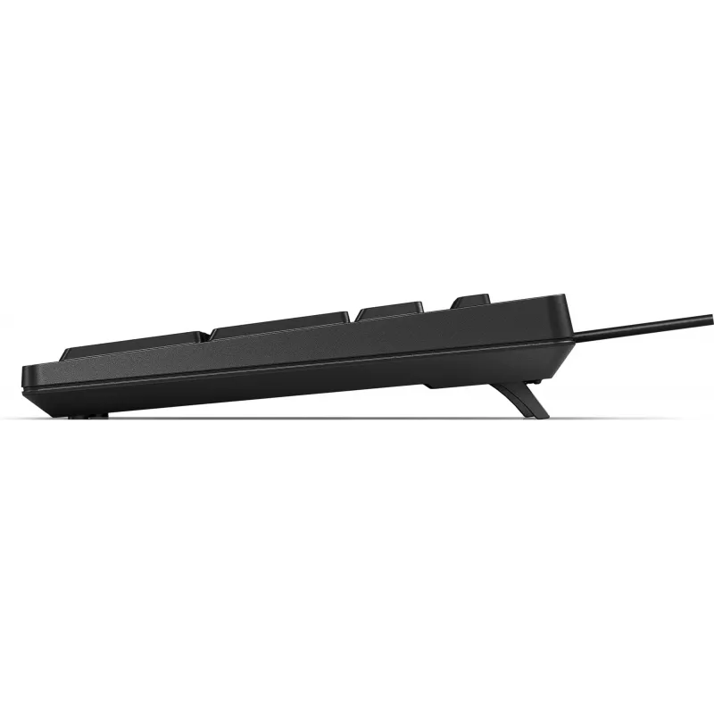 Teclado HP 125 USB WD KBD Bulk 12 Full-size con cable QWERTY