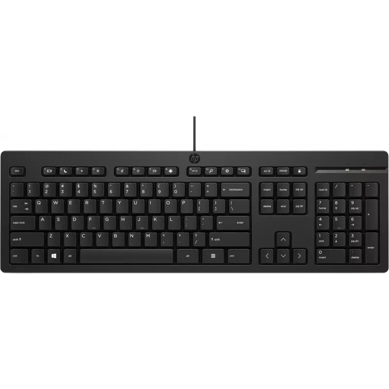 Teclado HP 125 USB WD KBD Bulk 12 Full-size con cable QWERTY