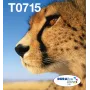 Epson multipack 4 colores T071 EasyMail, rendimiento estándar, negro, cian, magenta, amarillo, 7,4 ml, 5,5 ml, 1 ud., multipack