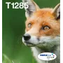 Cartuchos de tinta multipack inyección de tinta Epson Fox T128 EasyMail — 4 colores (negro 5,9 ml; cian/magenta/amarillo 3,5 ml)