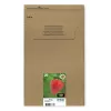 Epson Strawberry multipack 4 colores 29 EasyMail, rendimiento estándar, negro, cian, magenta, amarillo, 5,3 ml, 3,2 ml, 1 ud., multipack
