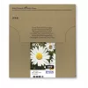Epson Daisy multipack 4 colores 18XL EasyMail, alto (XL) rendimiento, negro, cian, magenta, amarillo, 11,5 ml, 6,6 ml, 1 ud., multipack