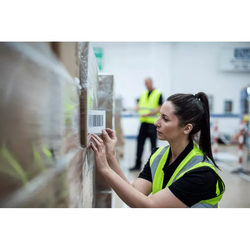 Rollo de etiquetas continuas térmicas directas Brother, blanco, etiqueta autoadhesiva para impresora, etiqueta continua, térmica directa, TD-4410D, TD-4420DN, TD-4520DN, TD-4550DNWB, 10,2 cm