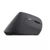 Trust TM-270 ratón oficina diestro RF inalámbrico óptico 2400 DPI
