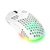 Trust GXT 929 Helox ratón gaming diestro RF inalámbrico óptico 4800 DPI