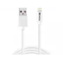 Sandberg USB-A a Lightning MFI 1M, 1 m, Lightning, USB A, blanco, recto, recto