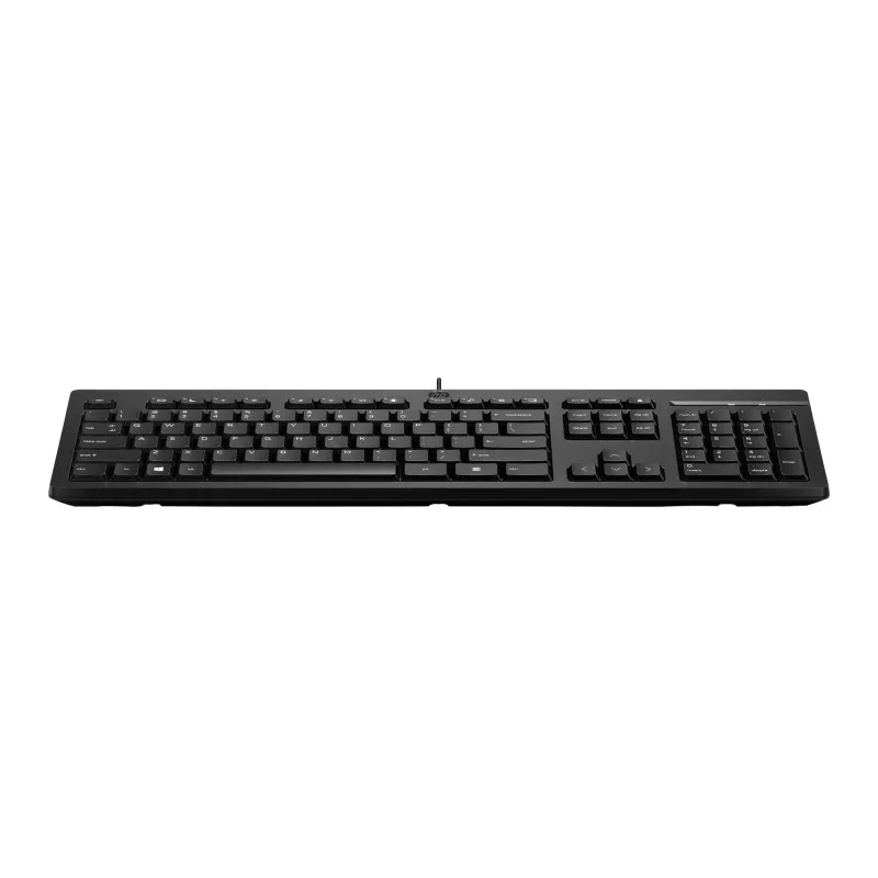 HP 125 Teclado con cable, tamaño completo (100 %), con cable, USB, Negro
