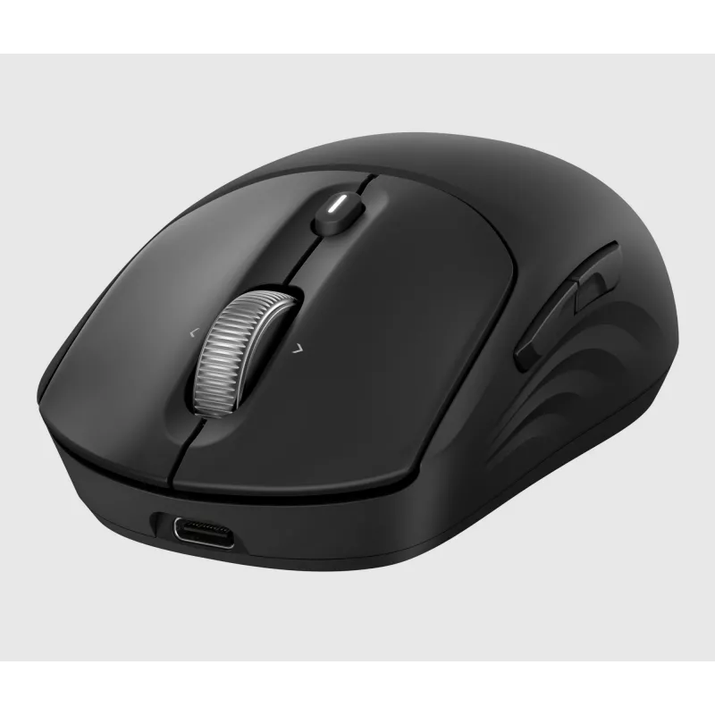 HP 700 Ratón inalámbrico recargable, ambidiestro, RF Wireless + Bluetooth, 6000 DPI, Negro