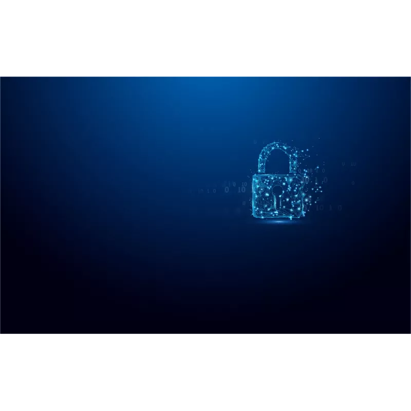 Kingston Technology IronKey 128 GB Vault Privacy 50 cifrado AES-256, FIPS 197