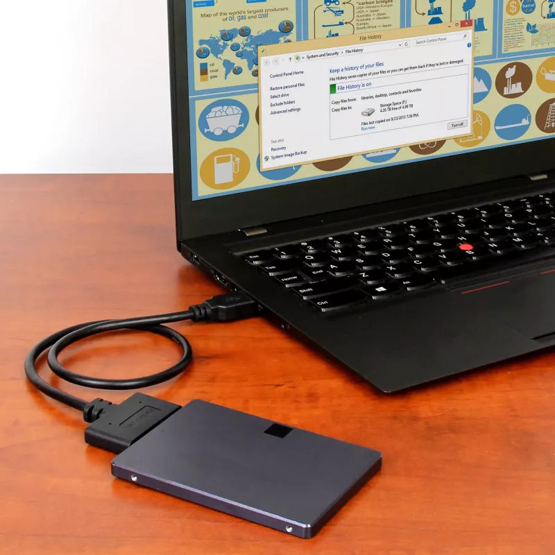 StarTech.com Adaptador USB 3.1 a SATA de 2,5 pulgadas – USB 3.1 Gen 2 10 Gbit/s con UASP, convertidor externo de almacenamiento para HDD/SSD