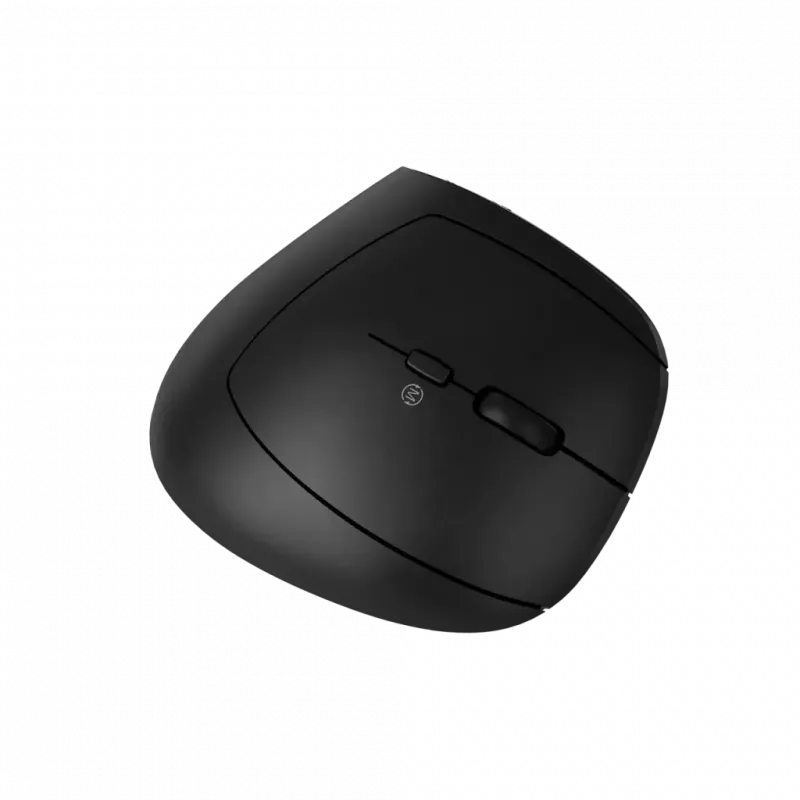 Ratón CANYON MW-25 ergonómico LED AA doble modo inalámbrico negro