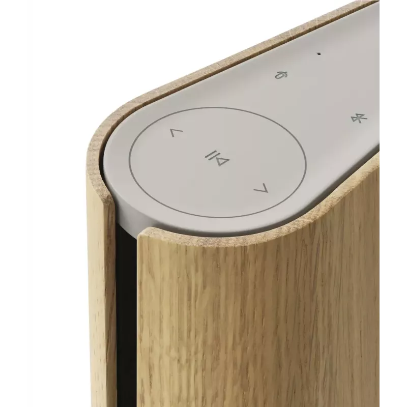 Altavoz portátil Bang & Olufsen Beosound Emerge marrón