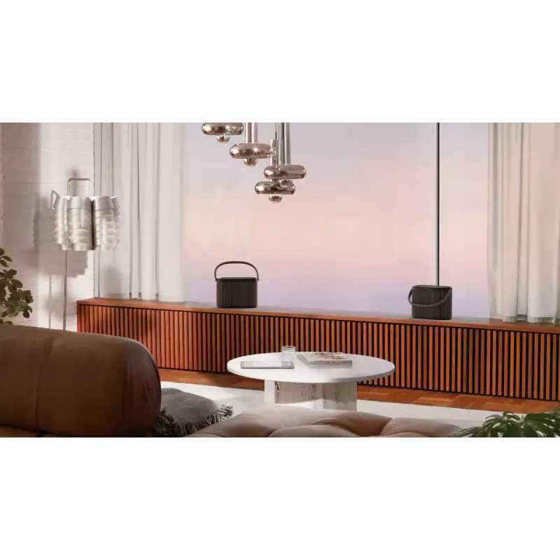 Sistema de altavoces portátil 2.1 Bang & Olufsen BeoSound A5 marrón 101 dB