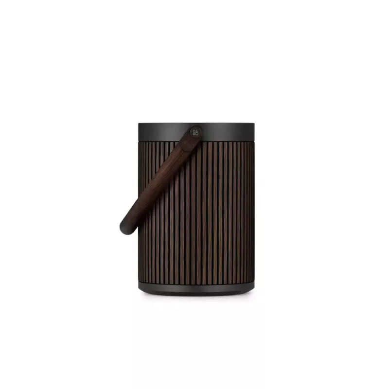 Sistema de altavoces portátil 2.1 Bang & Olufsen BeoSound A5 marrón 101 dB