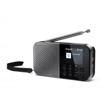 Radio personal Sharp DR-P520 sintonizador digital DAB DAB+ FM